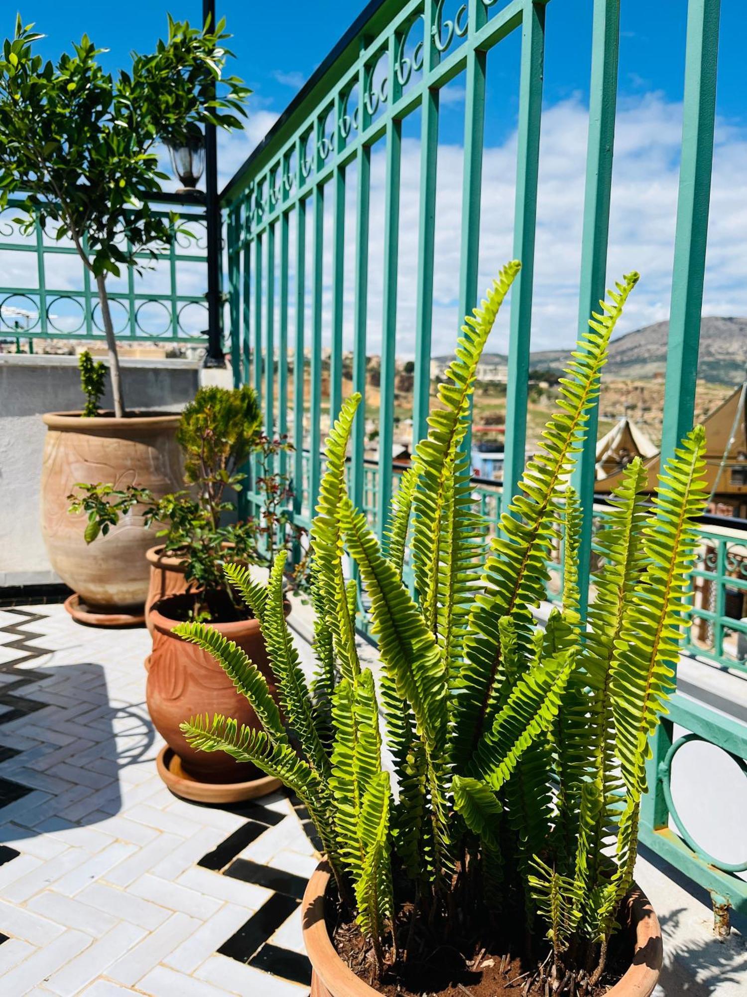 Riad Fes Miracle Exterior photo