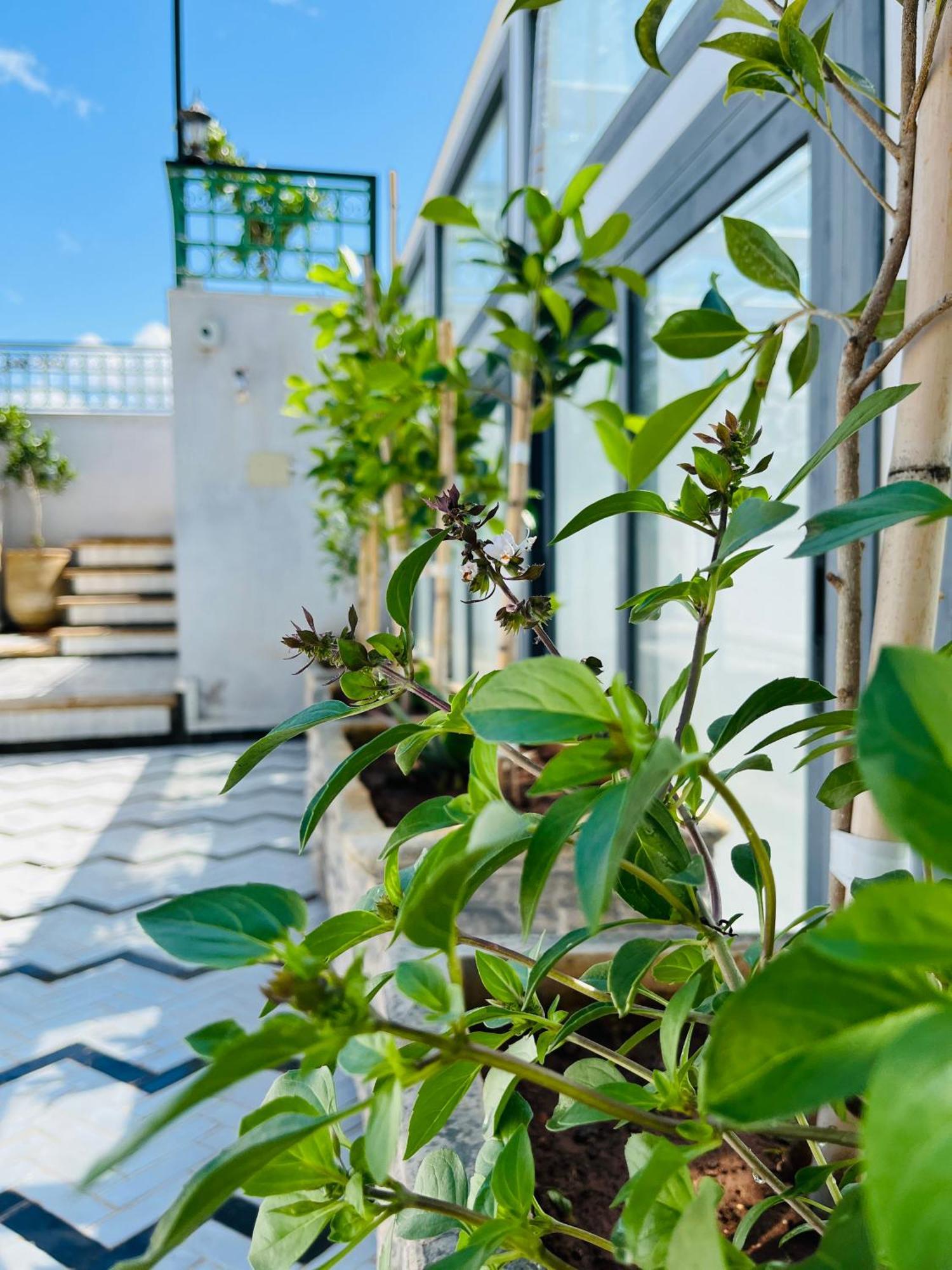 Riad Fes Miracle Exterior photo